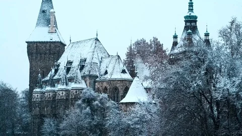 Vajdahunyad Castle in snowfall. Stock Footage 101202507
