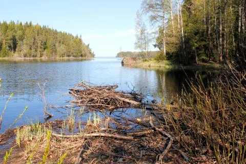 ValaamF01 Foto stock