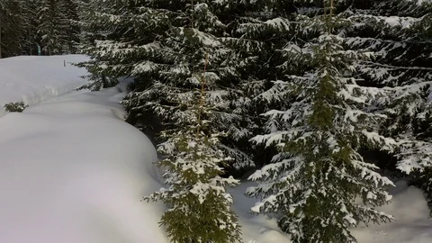 Valbella Stock Footage 104934230