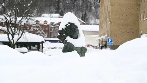 Valdemarsvik, winter Stock Footage 148230723