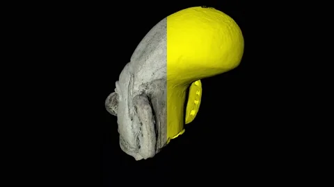 Valdivia figurine 3d scan using photogrametry tehnique used for inventory and Stock Footage 150204443