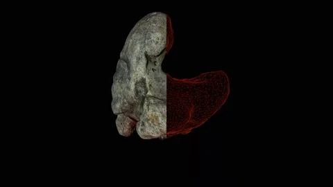 Valdivia sculpture 3d scan manipulation photogrametry tehnique used for Stock Footage 150204563
