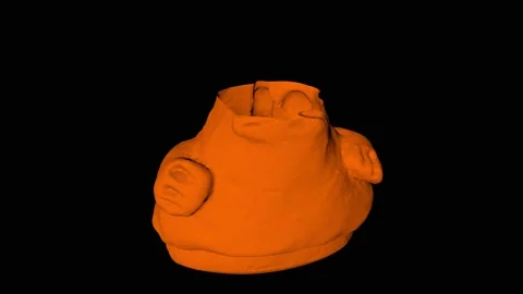 Valdivia sculpture 3d scan using photogrametry tehnique used for inventory and Stock Footage 150204468