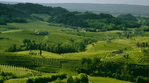 Valdobbiadene Landscape Between Hills and Vineyards, tilt clip 2 Stock Footage