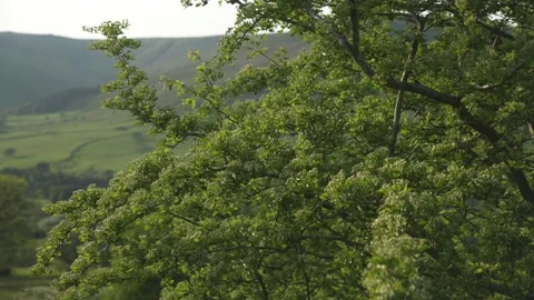 Vale of Edale during spring, Derbyshire, Peak District National Park, England Stock Footage 242622384