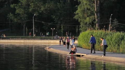 Valea Morilor Lake Stock Footage 76661148