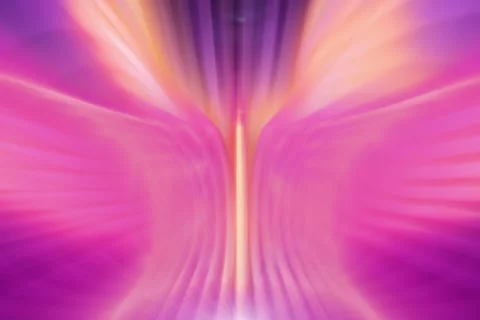 Valelntine Flare Transition Stock Footage 1004270
