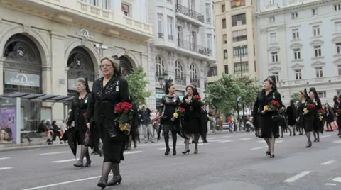 Valencia Parade 動画素材 8832611