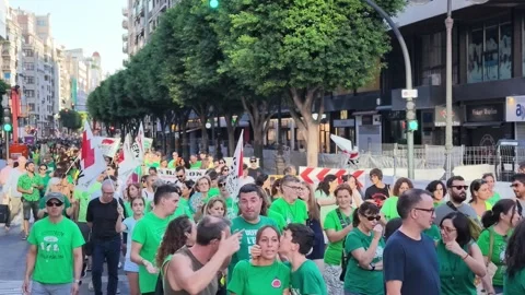 VALENCIA, SPAIN - 2026/09/12: Dense crowd marches down tree lined Valencia. Stock Footage 345450674