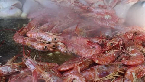 Valencian paella Stock Footage 307099048