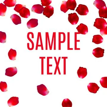 Valentine background with falling red rose petals and text. Vector illustration Illustrazione stock