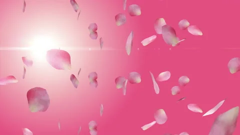 Valentine background with falling rose petals Stock Footage 147294477