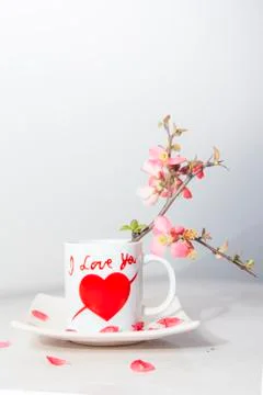 Valentine cup Stock Photos