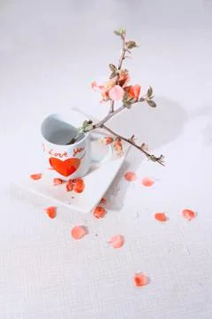 Valentine cup Stock Photos