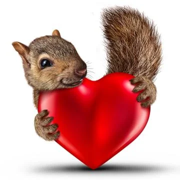 Valentine Cute Squirrel Stock Illustration