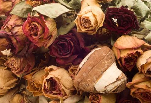 Valentine day background Stock Photos