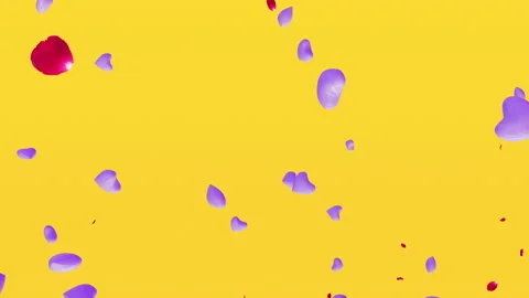 Valentine Day Stock Footage 169000896