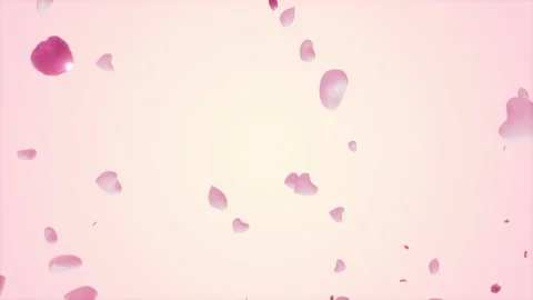 Valentine Day Stock Footage 169000912