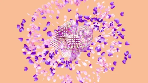 Valentine Day Stock Footage 169272116