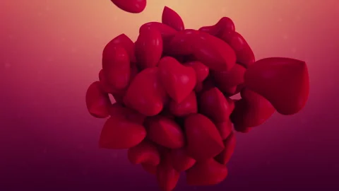 Valentine Day Stock Footage 297947081