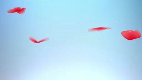 Valentine Stock Footage 165467120