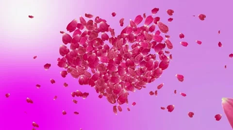 Valentine heart Stock Footage 18177700