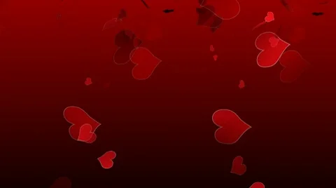 Valentine hearts Stock Footage 10561949