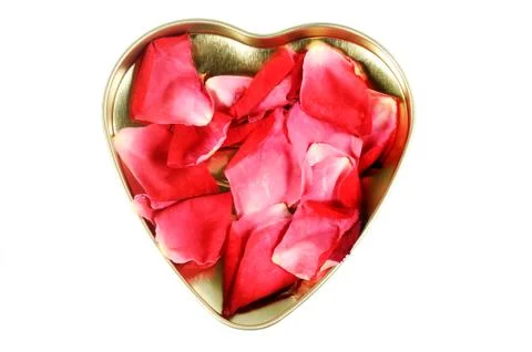 Valentine Stock Photos