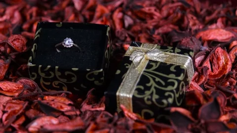 Valentine ring gift Stock Footage 169748028