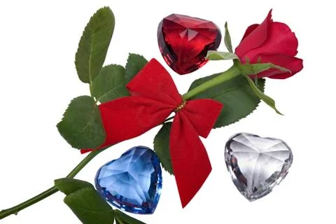 Valentine roses 写真素材