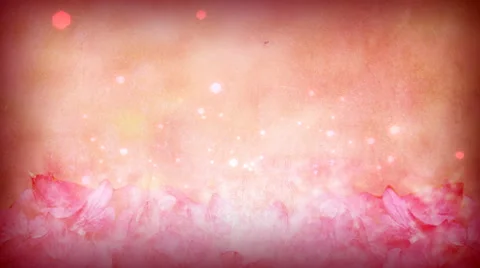 Valentine Sparkles Stock Footage 50669074
