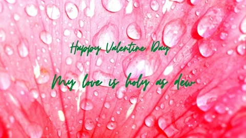 Valentine! Walking Writing Background Falling Water Stock Footage 233047595