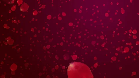 Valentine's day abstract background, flying hearts Stock Footage 38841853