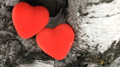 Valentine's day abstract background. Stock Footage 68385294