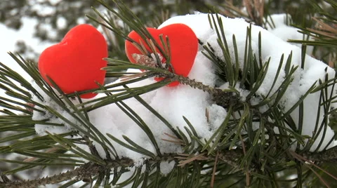 Valentine's day abstract background. Two hearts Stock Footage 68346686