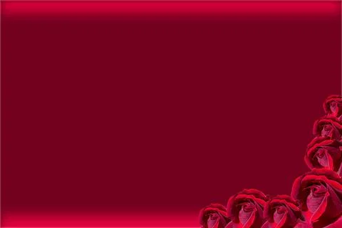 Valentine's day background concept design with red roses and copy space. Stock Illustration