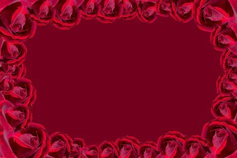 Valentines day background concept design with red roses and copy space. 스톡 일러스트