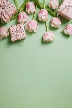 Valentine's Day background. Gift boxes with ribbons and tulips on green backg Stock Photos