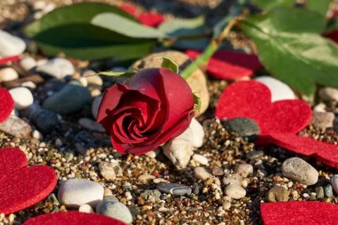 Valentine's day background Stock Photos