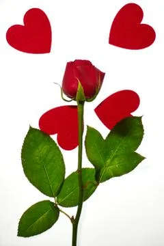 Valentine's day background Stock Photos