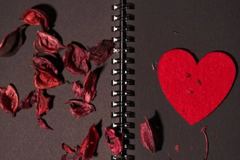 Valentine's day background Stock Photos