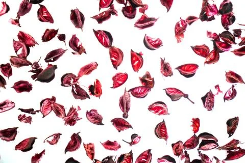 Valentine's day background Stock Photos