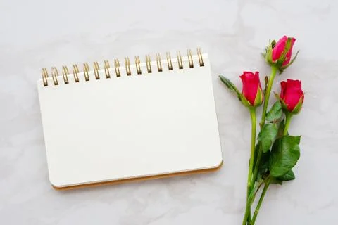 Valentine's day background, template, Red rose and blank notebook paper on wh Stock Photos