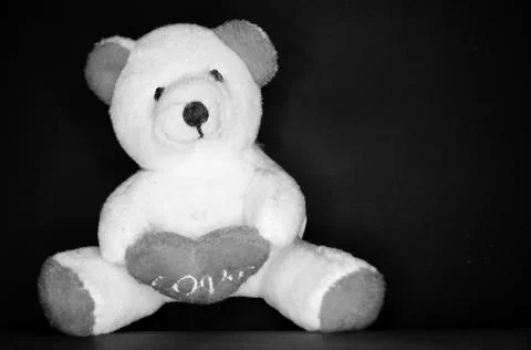 Valentine's day bear Stock Photos