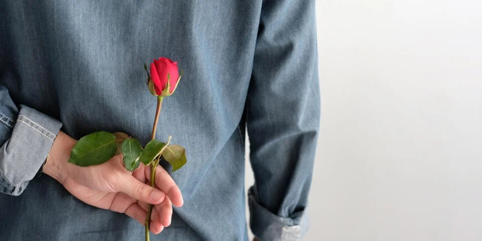 Valentine's day concept, Back side of man holding red rose on white backgroun Stock Photos