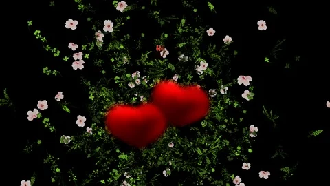 Valentine's Day Congratulations Animated Видео 94089204