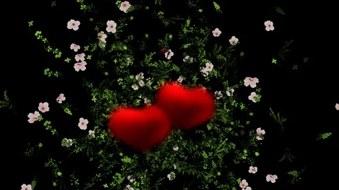 Valentine's Day Congratulations Animated Stock Footage 94090487