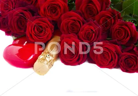 Valentine's day dark red roses Stock Photos
