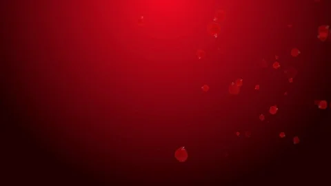 Valentines day falling red rose petals Stock Footage 123523681