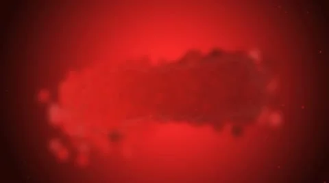 Valentines day Stock Footage 10608305